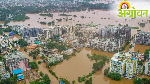Kolhapur Sangli Flood Management