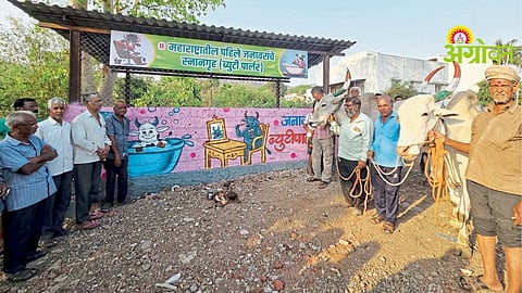 Livestock Management