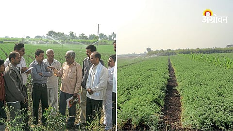 Water management model in agriculture