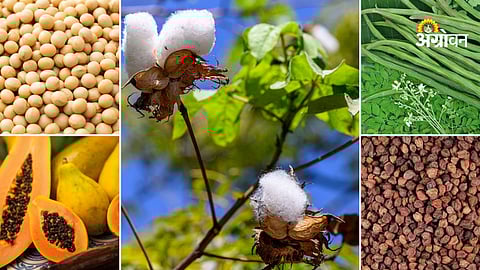 Agri commodity price trends India today