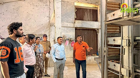 Poultry Business Success