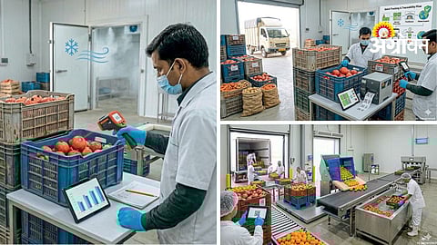 Agriculture Producets Process