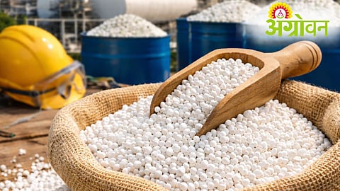 Urea Black Marketing