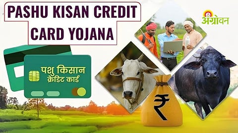 Government scheme for dairy farming financial support