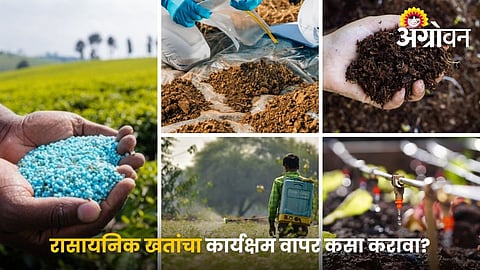 Reduce Fertilizer Use with Scientific Techniques