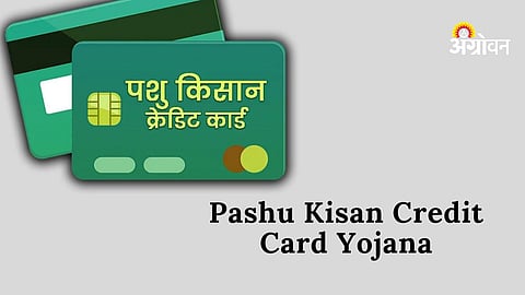 Livestock kisan credit card scheme