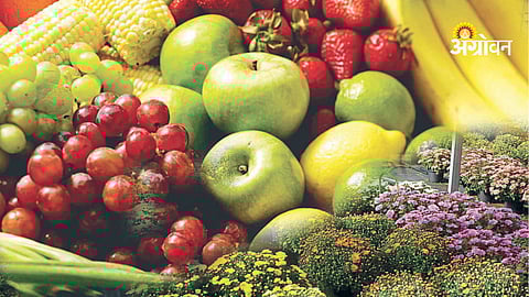 Global demand for Indian fruits export growth