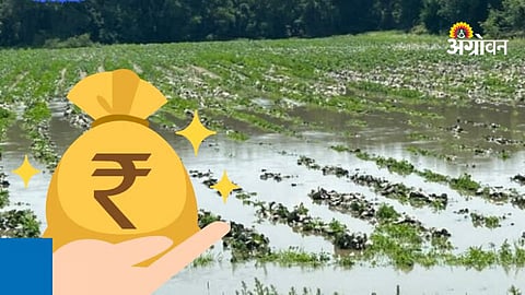 Maharashtra pre monsoon rain damage compensation