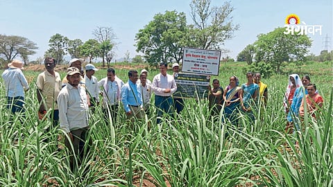 Integrated nutrient management for soil health