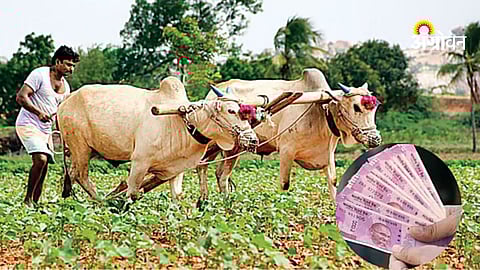Maharashtra farmer financial aid for crop loss