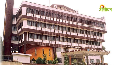 Sangli cooperative bank profit 