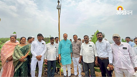 Export oriented fruit farming technology India