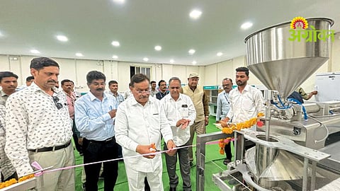 Custard Apple Processing