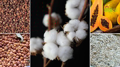 Agriculture commodity market trends 