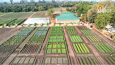 MIDC to Be Developed on Extra Land of Mahatma Phule Agri University