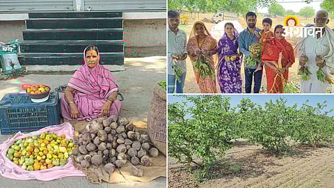 Inspiring women farmer success story in Maharashtra