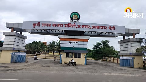 Agriculture Market Updates