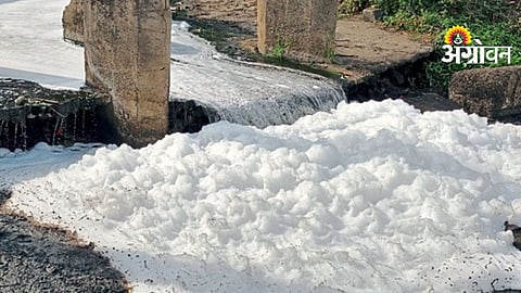 Ulhas River Pollution