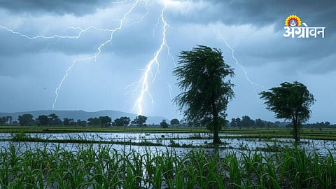 Maharashtra storm rain forecast