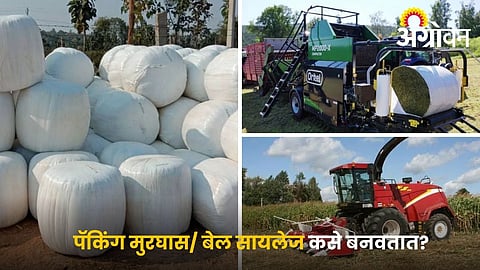 Silage making process for farmers