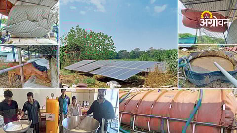 Integrated biogas and organic farming model