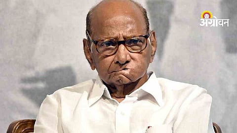NCP leader Sharad Pawar Health condition