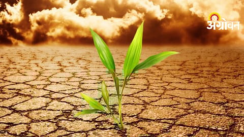 Agriculture Advisory