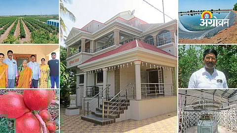 high quality pomegranate farming success story India