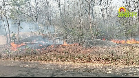 Pavnarakhari Forest Fire
