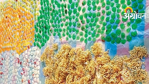 Women Entrepreneurship