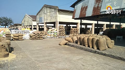 Financial loss in agriculture market committee Pune