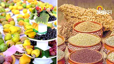 Agriculture Producets Festival