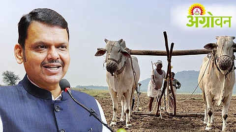 farm loan waiver committee report submitted to CM