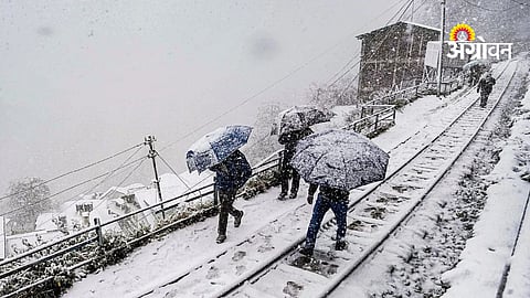 Snowfall and rainfall forecast  IMD