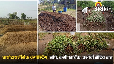 Improve Soil Health with Biodynamic Compost