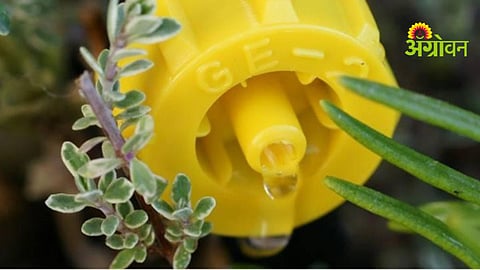 Micro Irrigation Subsidy Delay