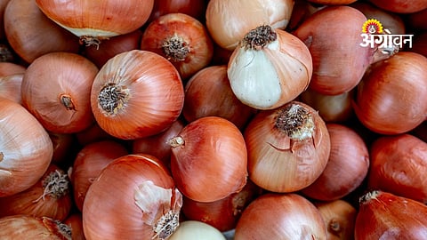 Buyer rights issue NCCF case