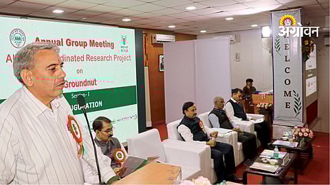 Government oilseed scheme benefits for farmers