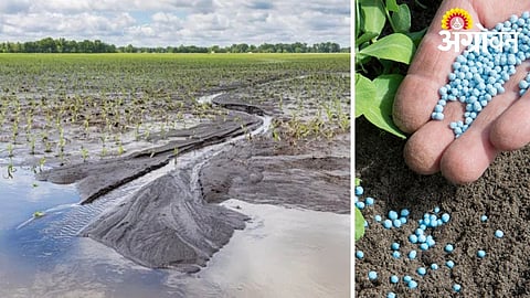 Sustainable farming methods for climate change