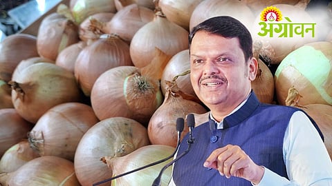 Onion Farmers Support