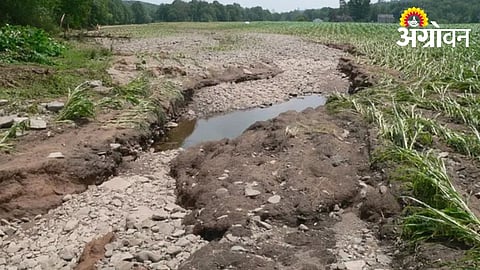 Farmers Struggle to Restore Eroded Lands in Dharashiv