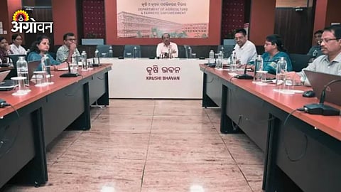 AI in Farming Google India 