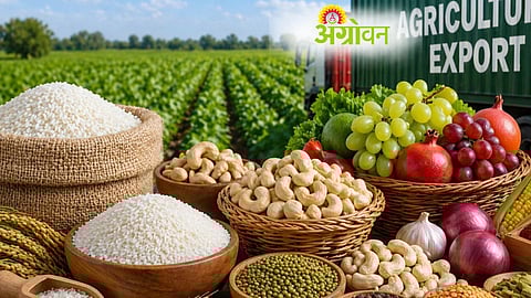 Agricultural Exports