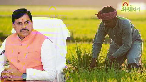 Farmers Compensation