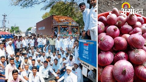 Onion Auctions Halted in Satana, Farmers Protest