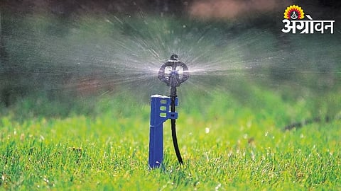 Government Offers Subsidy for Micro Irrigation Systems