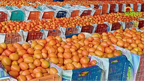 Agriculture Market Update