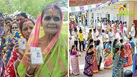 Elections Voting Update