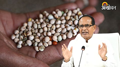 Seed and Pesticide Act