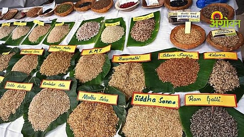 seed festival in Jalna Akola Jalgaon 2026